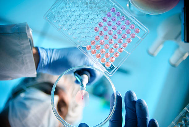 Best Medical Schools in the USA for 2025